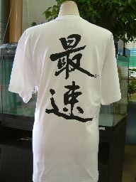 【最速】書道家が書く漢字Tシャツ おもしろTシャツ 本物の筆文字を使用したオリジナルプリントTシャツ 和柄漢字Tシャツ 名入れ 誕生日プレゼント メンズ レディース 子供服 大きいサイズ 4L 5L もあります ドライTシャツ も選べます メール便送料無料