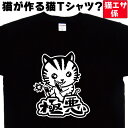 ネコTシャツ|極悪|猫Tシャツ大人| 猫ティーシャツ|メンズ猫tシャツレディース|猫Tシャツバックプリント|ねこtシャツ|キッズ |速乾 ドライtシャツ|おもしろtシャツ 大きいサイズ 4L 5L 猫|猫エサ係(4)