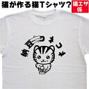 納豆Tシャツ 納豆コネコネ Tシャツ ティーシャツ なっとう 納豆ティーシャツ 猫ティーシャツ メンズ レディース キッズ 子供 名入れ おもしろTシャツ 猫 ネコ ねこ 猫Tシャツ 大人 速乾 ドライtシャツ S M L XL 3L 大きいサイズ 4L 5L イラストTシャツ かわいい
