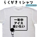 一年中アイス食いたい らくがきtシャツ アイスクリームtシャツ おもしろティーシャツ 面白ろTシャツ メンズ レディース おもしろtシャツ 面白tシャツ ネタtシャツ 名前入れtシャツ おもしろプレゼント イラストtシャツ 大きいサイズ 4L 5L グリマー ドライTシャツ