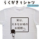 メール便なら送料無料キャンペーン(日本国内のみ) らくがきTシャツは1枚でもメール便なら送料無料！ らくがきTシャツの特徴 らくがきTシャツは、休み時間、学校の黒板に落書きしているような、おもしろtシャツです。 おもしろプレゼントや、ウケ狙いで着ていただければ幸いです。 オプションとして、黒板の右隅に、日直の名前入れが可能です。 サイズは100cmから5Lまで取り扱いがあり、ペアルックや親子コーデも出来る、面白tシャツ好きな人用に作られたTシャツになっています。 1　利用シーンにあわせて、綿TシャツかドライTシャツか選ぶことが出来ます。 2　日直の名前を入れて、自分だけのオリジナルTシャツに出来ます。（追加料金330円） サイズ・素材（取り扱いTシャツ） ■■Printstar（プリントスター5.6オンス）■■ 【サイズ】 100cm〜XXXLサイズまで ※XXLサイズは追加料金+330円 XXXLサイズは追加料金+550円 【素材】 綿100％ ■■glimmer（グリマー4.4オンス）■■ 【サイズ】 120〜5Lまで ※120〜LLまでは追加料金+220円 3L、4L、5Lサイズは追加料金+440円 【素材】 ポリエステル100％ ※オンスとは重さの単位で、数値が大きい程生地に厚みがあります。 注意事項 選択項目に+〇〇円と記載があるものは、楽天のシステム上 合計金額に追加料金を含めることが出来ません。 ご注文後料金を再計算し、正式な金額のメールを楽天メールから お送り致します。 金額の確認をしていただく簡単なメールですので お手数ですが、ご確認をお願いします。 ラッピングについて プレゼント用に、簡易ラッピングもご用意しております。 ラッピング料は無料ですが、宅配便でのお届けになる為、メール便を選択した場合も宅配便の料金がかかります。 納期について らくがきTシャツは、ご注文後、7-10営業日でお手元に届きます。 お急ぎの場合は、ご連絡ください。可能な限り対応いたします。 返品について 弊社のミスによる不良品（サイズ、文字違い等）は商品到着日より7日以内にご連絡ください。早急に修正対応させていただきます。 らくがきTシャツはすべて受注生産のため、商品発送後の、お客様のご都合による返品、交換はご容赦下さい。 キャンセルに関してもすべて受注生産のため、デザイン後のキャンセルはご容赦下さい。 返品される場合には事前にメール又は電話にてご連絡下さい。 ・