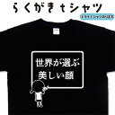 世界が選ぶ美しい顔 らくがき Tシャツ 美人Tシャツ ウケ狙いTシャツ おもしろTシャツ メンズ レディース キッズ 子供Tシャツ 面白いTシャツ ネタTシャツ...