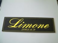 オリジナルプレート/チームプレート(文字プレート) 45cm (4枚以上)!! ..