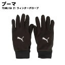 PUMA(プーマ)TEAMLIGA 21 ウィンターグローブ 防寒具 手袋 041706 2025年
