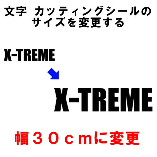 樂天商城 - オリジナル シート加工(シート文字・切り文字・カッティングシール)30cmの大きさに変更!! ..