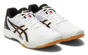 asics(アシックス)ROTE　JAPAN　LYTE　FF　2 その1