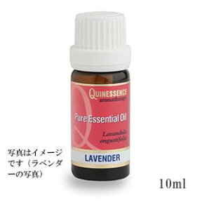 サイプレス （10ml） 100% エッセンシャルオイル （ 精油 ・ アロマオイル ）