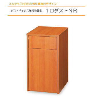 【代引不可・北海道、沖縄県、離島への出荷不可】 オムツっ子NRとの相性最適デザイン。ダストボックス兼荷物置き。アビーロード1口ダストNR　C-202