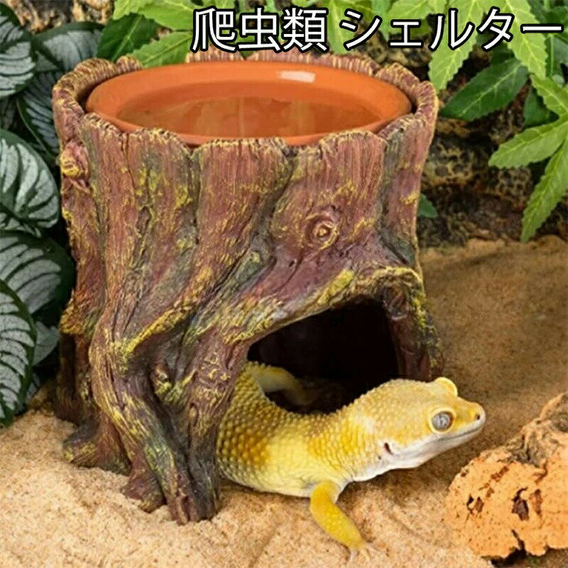 爬虫類 シェルター 隠れ家 ウェットシェルター 木の穴 洞窟 穴 両生類 飼育 保湿 ハイドロボックス 両..