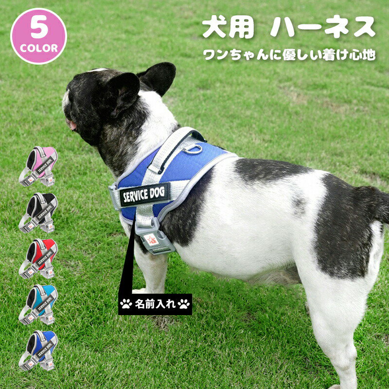 送料無料 犬 ハーネス 名前 胴輪 単品 名入れ イニシャル 簡単装着 引っ張り防止 抜けない 小型犬 中型..