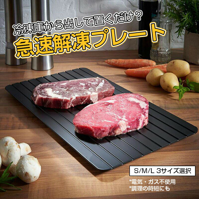 解凍プレート 急速解凍 業務用家庭用 自然解凍 急速 解凍 食品解凍 肉 刺身 冷凍食品対応 調理器具 キッチン用品 キッチン雑貨 便利 役に立つ ホルダー付き 主婦 ママ マザー 母 省エネ 電気不要