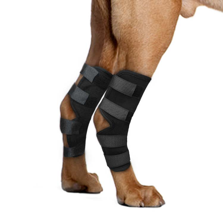 犬骨折 介護用品 サポーター 足用 老犬介護 ケア用品 ペット 関節プロテクター 犬 2個セット サポーター 関節 ペット 全4サイズ