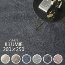 ラグ ラグマット イルミエ illumie 200×250 防ダニ加工 抗菌 抗アレルゲン 床暖房対応 遊び毛防止 F☆☆☆☆ ホットカーペット すべり止め シンプル 無地 ベージュ グレー ネイビー グリーン ブラック 日本製 スミノエ カーペット 絨毯 おしゃれ 北欧 日本製 新生活