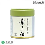 【丸久小山園/抹茶】【允猶斎家元御好】抹茶/葉々の白(ようようのしろ)40g缶入【藪内流】【茶道】【薄茶】【粉末】【Matcha】【Japanese Green Tea】【powder】【抹茶粉末】【Marukyu Koyamaen】