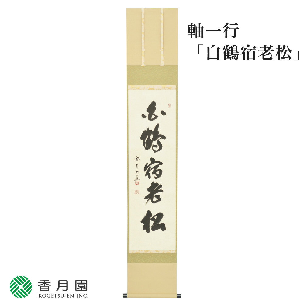 【茶道具 / 掛軸】軸一行 白鶴宿老松 長谷川大眞師 京都 三元院 【軸】【茶道】【茶会】【抹茶】【日本製】【国産】【贈答】【ギフト】【プレゼント】【お祝い】【誕生日】【記念日】【海外発…