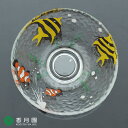 耐熱ガラス平茶碗 水族館 加藤永山 作 (化粧箱)
