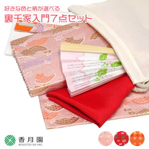 【茶道具/入門セット】好きな色と柄が選べる 裏千家入門7点セット【巾着付】【ゆうパケット送料無料】