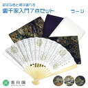 【茶道具/入門セット】好きな柄が選べる 裏千家入門7点セット ラージ(中高生向き 男子用 大寸)【巾着付】【ゆうパケット送料無料】