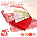 【茶道具/入門セット】好きな色と柄が選べる 裏千家入門7点セット プレミアム【巾着付】【ゆうパケット送料無料】