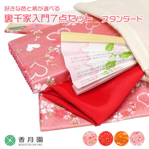 【茶道具/入門セット】好きな色と柄を選べる 裏千家入門7点セット スタンダード【巾着付】【ゆうパケット送料無料】