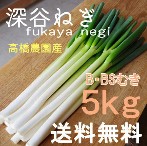 深谷ねぎ5kg♪産地直送！新鮮野菜【ねぎ】【業務用】B・BS規格