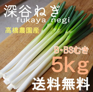 深谷ねぎ5kg♪産地直送！新鮮野菜【ねぎ】【業務用】B・BS規格