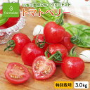 埼玉県の高橋雄介 うまみリッチ・トマトベリー(高糖度ミニトマト)