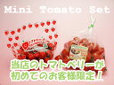 トマトベリー