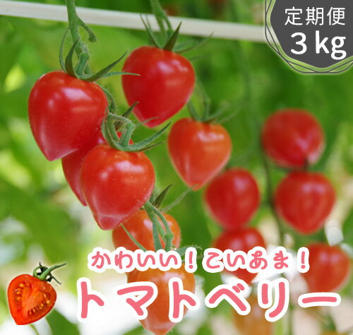 全国お取り寄せグルメ食品ランキング[トマト(31～60位)]第41位