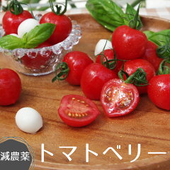 https://thumbnail.image.rakuten.co.jp/@0_mall/ta-nouen/cabinet/02067227/imgrc0108193748.jpg