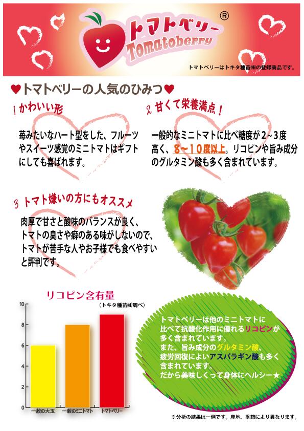 15周年ありがとう【いちご型の減農薬ミニトマト】3kgトマトベリー(高糖度ミニトマト) 甘い かわいい プチトマト【特別栽培・減農薬・減化学肥料】3kgプレミアム トマト　フルーツトマト　ハートのミニトマトバラ売り3kg 3