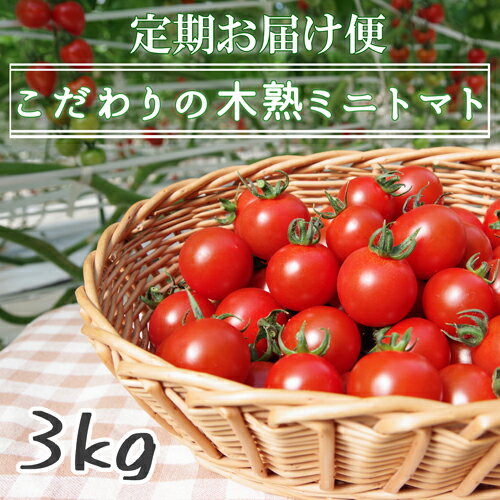 全国お取り寄せグルメ食品ランキング[トマト(31～60位)]第50位