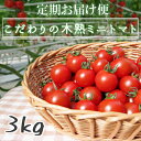 うまみリッチ・味濃いトマト