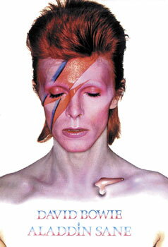 ポスター David Bowie Aladdin Sane アルバム ロックポスター デヴィッド ボウイ 61センチX91センチ