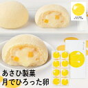 果子乃季 月でひろった卵8個 TUKI-8N (個別送料込み価格) (-95038-03-) (t3) | 内祝い ギフト 出産内祝い 引き出物 結婚内祝い 快気祝い お返し 志