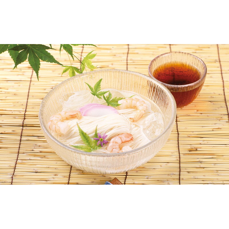 【楽天スーパーセール】【50％OFF】 島原手延そうめん B-10 (-L1086-014-) | 内祝い ギフト 出産内祝い 引き出物 結婚内祝い 快気祝い お返し 志 tabaki-10450042 たばき ギフト館 サンプル画像2