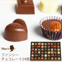 メリーチョコレート ファンシーチョコレートギフト 54個 FC-N 送料無料 (t0) | ホワイトデー お菓子 内祝い お祝い プレゼント お返し お祝 Marys 菓子折り 洋菓子 食品 食べ物 人気 3000円以下