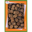 大分産 どんこ椎茸(130g) LO-40S (個別送料込み価格) (-0459-109-) | 内祝い ギフト 出産内祝い 引き出物 結婚内祝い 快気祝い お返し 志