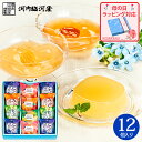 母の日 河内駿河屋 夏菓子 デザートコレクション ジュレ ゼリー DC-15 (送料込み) (t0) | 涼菓 12個 内祝い ギフト お返し 志 お供え 誕生...