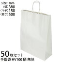 楽天たばき ギフト館手提げ袋 （50枚セット） 紙 白無地 HV100晒無地 （t0） | ギフトバッグ 紙丸紐白 手提袋 XZT00946