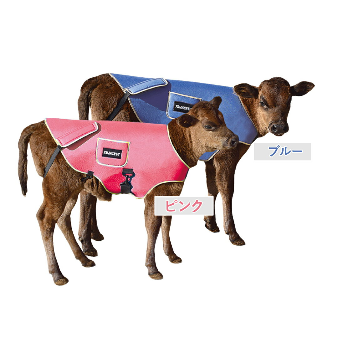 《畜産》【仔牛用ジャケット】TBJacket：【獣医さんと共同開発　子牛用　冬用ジャケット　寒さ対策　畜..
