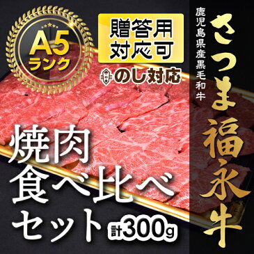 焼肉食べ比べセット【福永牛A5ランク黒毛和牛】《 焼肉ソムリエが厳選 》上カルビ・カルビ・赤身：各100g計300gセット　贈答品　お祝い　バーベキュー