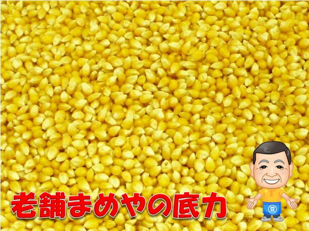 【限定品】 まめやの底力 大特価！！ アメリカ産 ポップコーン 1kg×3袋 【Pop Corn　3kg】