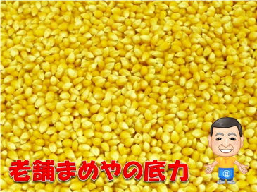 【限定品】 まめやの底力 大特価！！ アメリカ産 ポップコーン 1kg Pop Corn