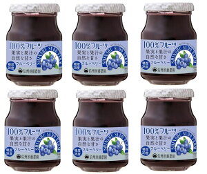 信州須藤農園　砂糖不使用　100％フルーツ　ブルーベリージャム　185g×6個　　　【スドージャム　製菓材料】