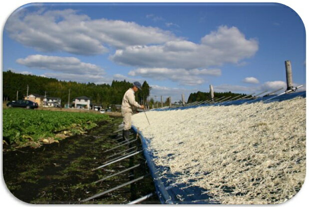 乾物屋の底力　宮崎県産　千切大根　30g　（切干し大根　天日干し　千切り　乾物）