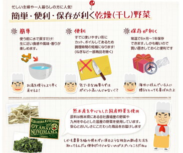 こだわり乾燥野菜　九州産　青ねぎ　10g×5袋　【吉良食品　ドライ　干し　国内産100％　国産　葱】