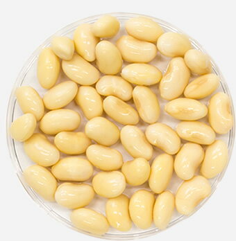 ニチレトホクホクお豆の蒸し大豆100g【国産国内産北海道産大豆100%日本レトルトフーズ】
