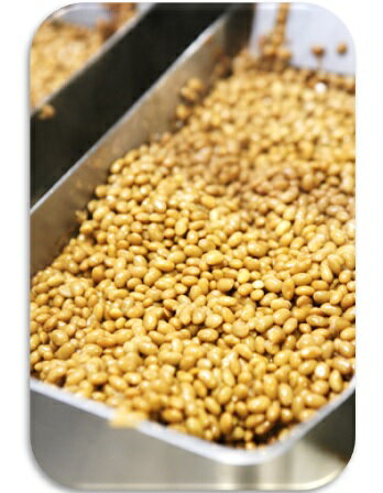 豆力国内産ドライ納豆(ピリ辛醤油味)100gtimes;3袋【1セットまでメール便可能】【国産、干し納豆、乾燥納豆】