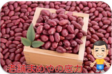 まめやの底力 北海道産 大正金時 1kg 　【限定品 金時豆 きんときまめ 大特価　豆類】